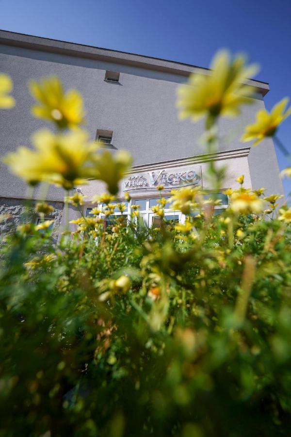 Villa Vicko Starigrad Paklenica Exterior photo